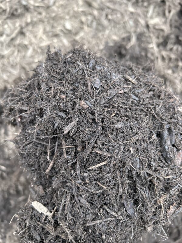 a cool dark mulch