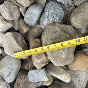 Multi-colored and shaped river rock showing larger sizes with a ruler, such as 5 inches