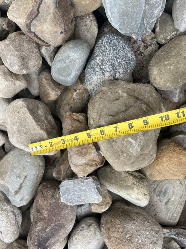 Multi-colored and shaped river rock showing larger sizes with a ruler, such as 5 inches
