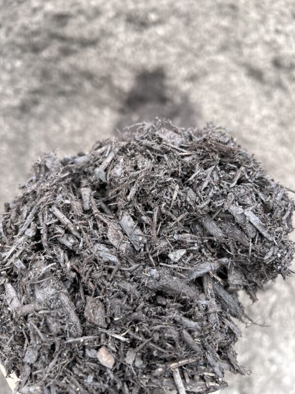 a darker cool toned brown mulch