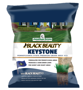 black beauty keystone